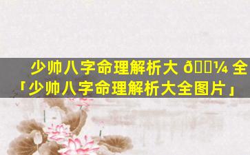 少帅八字命理解析大 🌼 全「少帅八字命理解析大全图片」